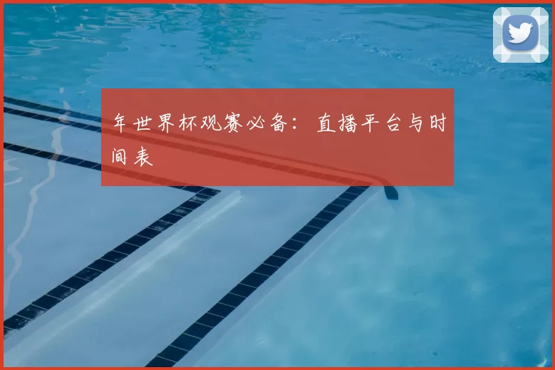 年世界杯观赛必备：直播平台与时间表