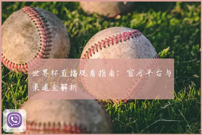 世界杯直播观看指南：官方平台与渠道全解析