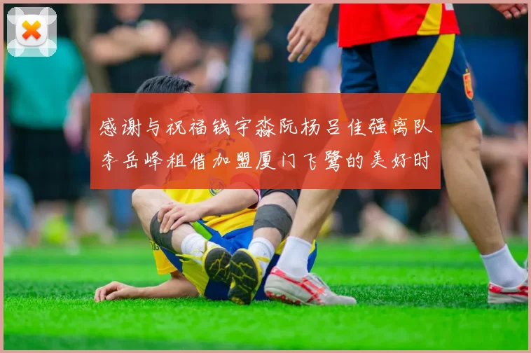 感谢与祝福钱宇淼阮杨吕佳强离队李岳峰租借加盟厦门飞鹭的美好时刻