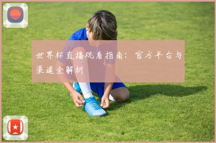 世界杯直播观看指南：官方平台与渠道全解析