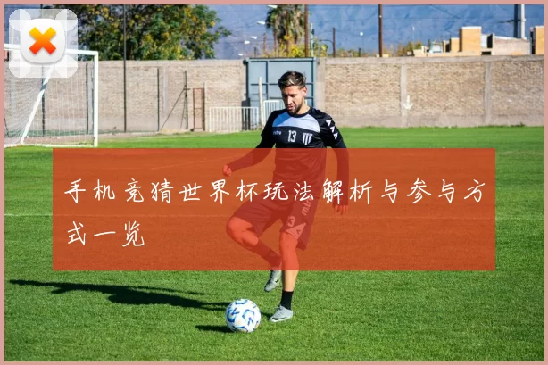 手机竞猜世界杯玩法解析与参与方式一览