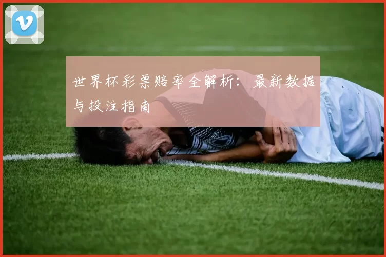 世界杯彩票赔率全解析：最新数据与投注指南