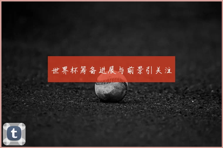 世界杯筹备进展与前景引关注