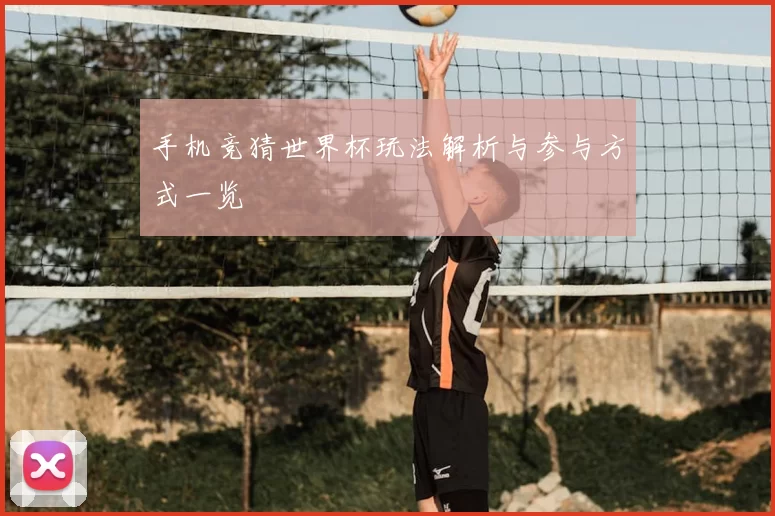 手机竞猜世界杯玩法解析与参与方式一览
