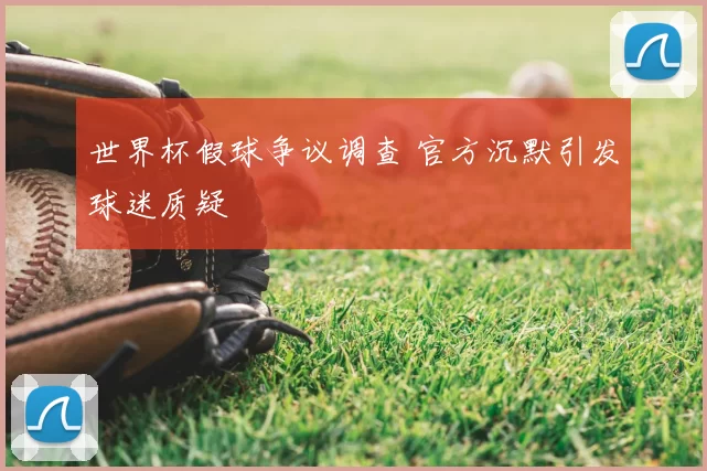 世界杯假球争议调查 官方沉默引发球迷质疑