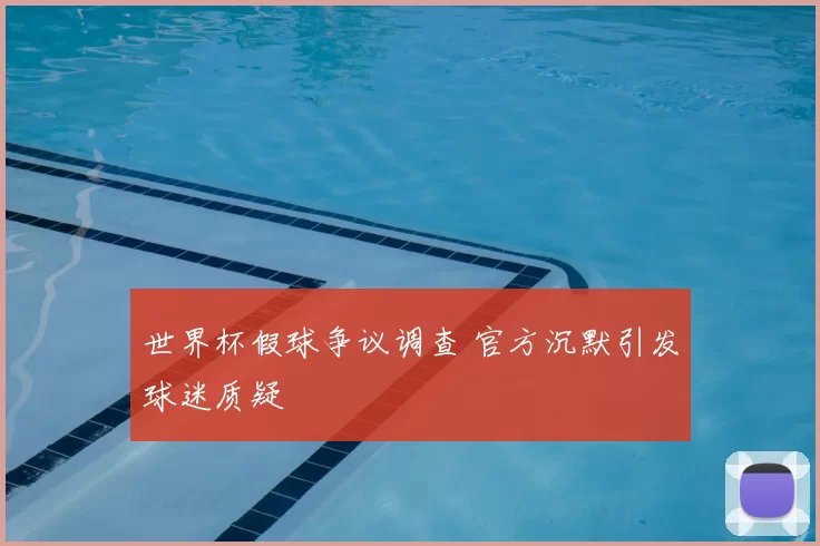 世界杯假球争议调查 官方沉默引发球迷质疑